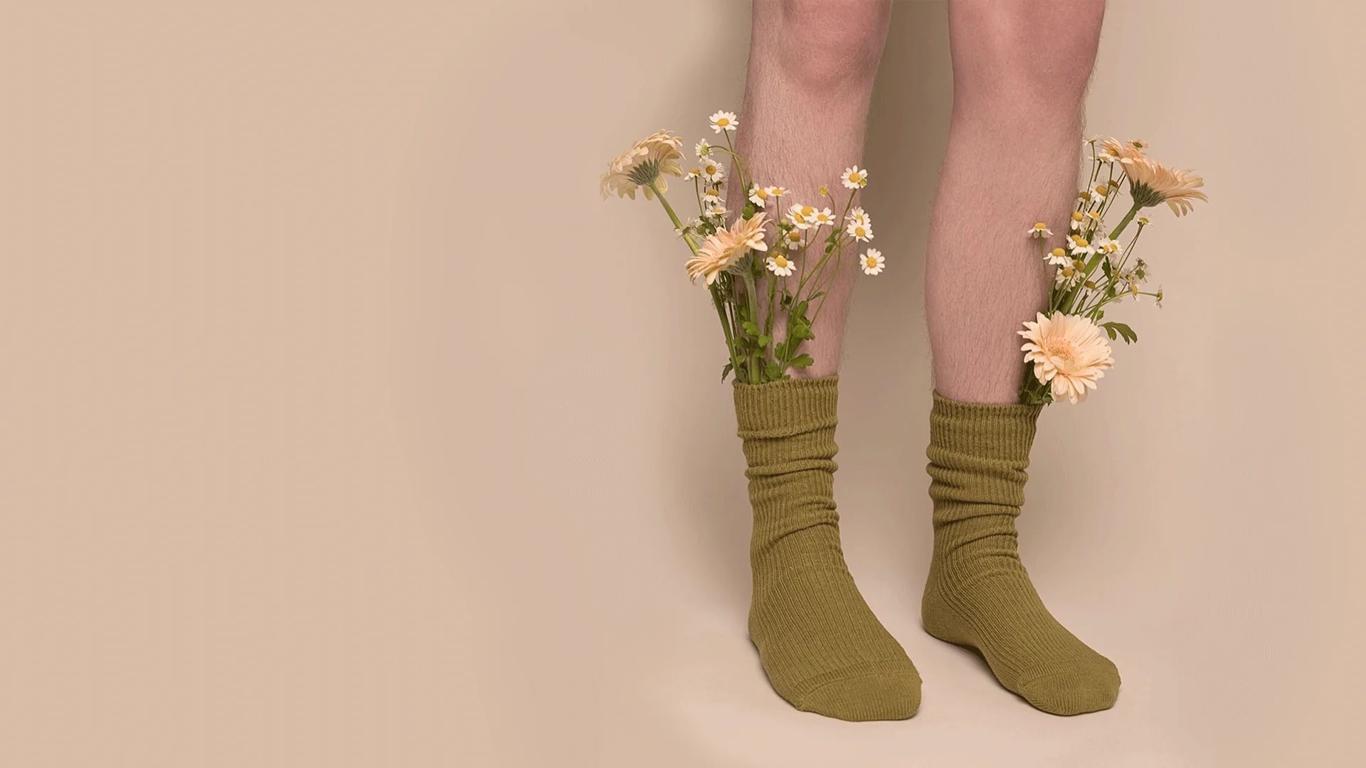 RoToTo Sales 2024 -RoToTo Sales 2024 rototobrandheader